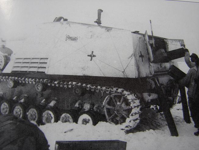 nashorn-puma.jpg